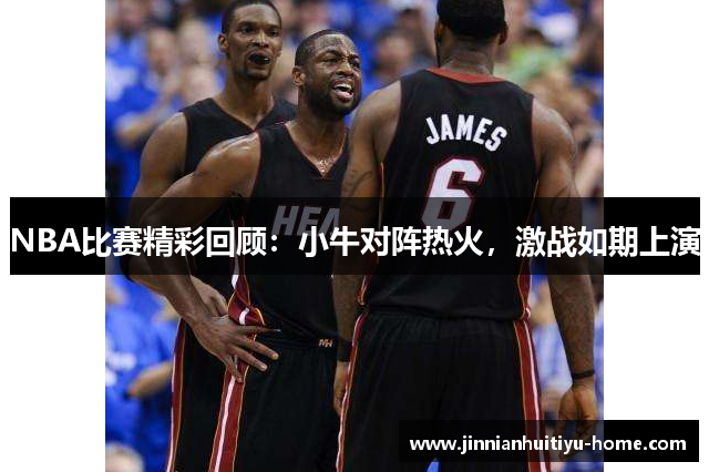 NBA比赛精彩回顾：小牛对阵热火，激战如期上演